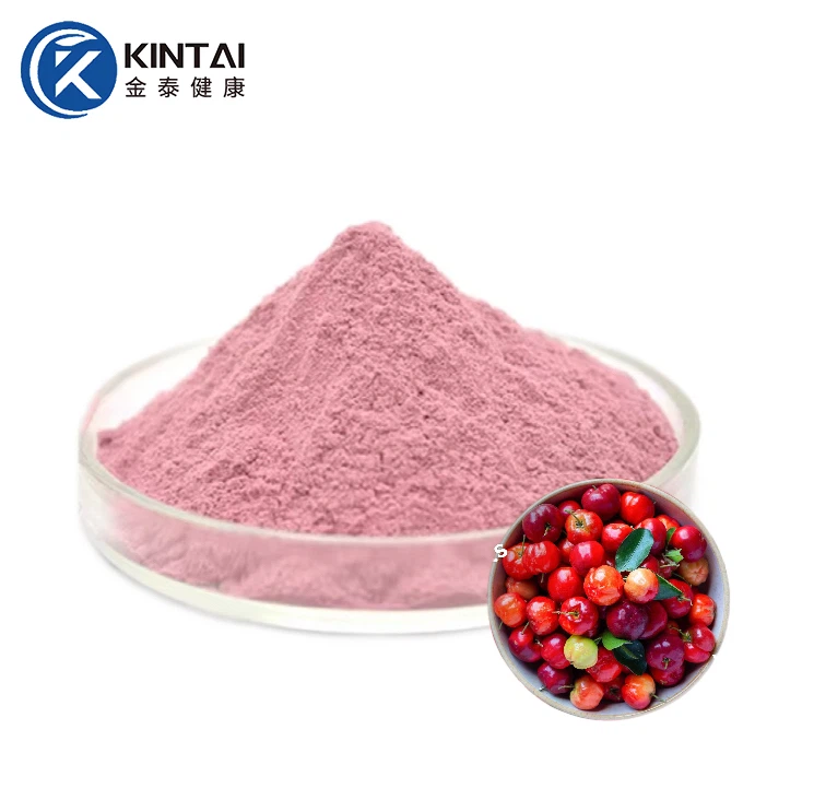 Prášek s extraktem z třešně Acerola