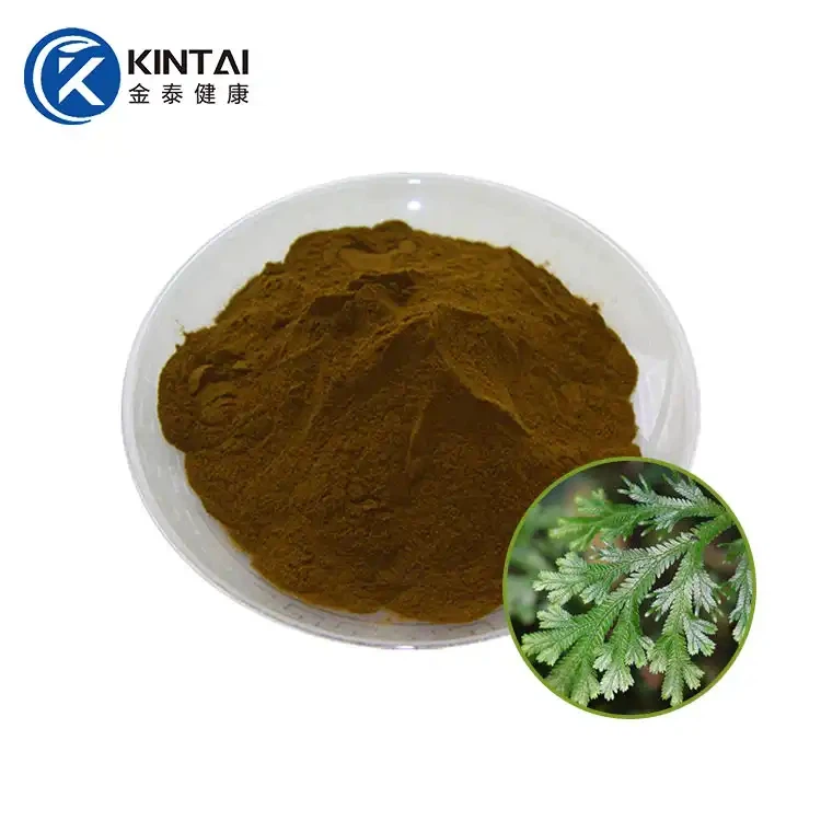 Amentoflavonový prášek