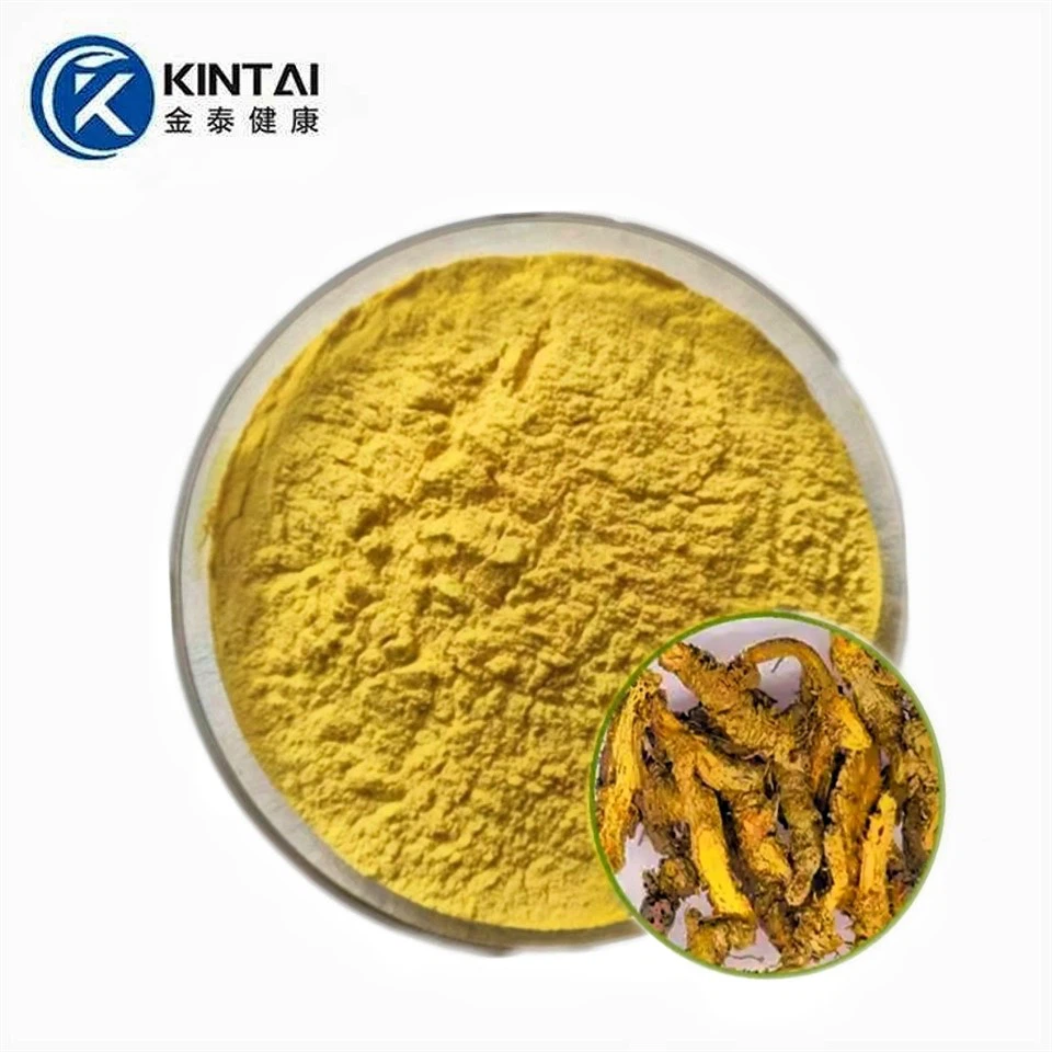 Berberin hydrochloridový prášek