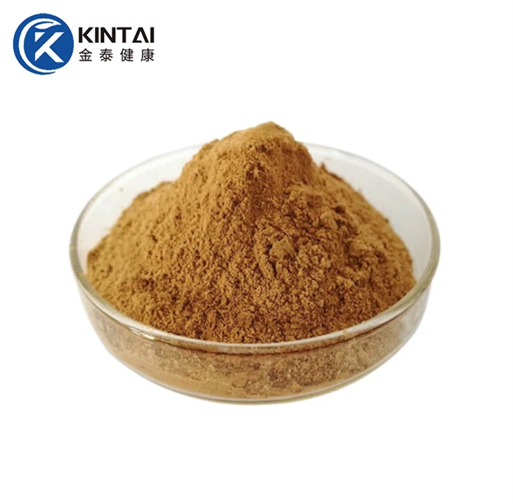 Prášek ze semen Cassia