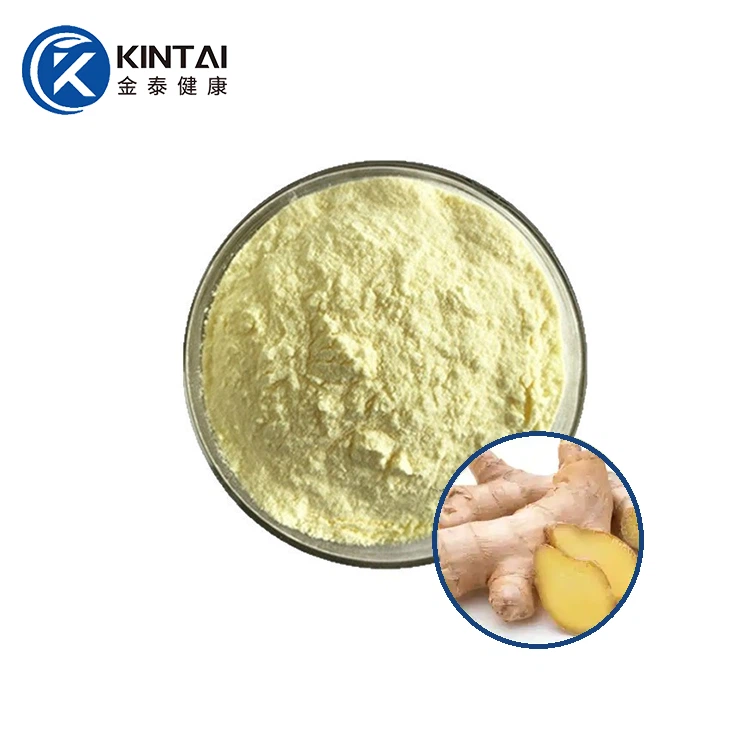 Zázvorový extrakt v prášku