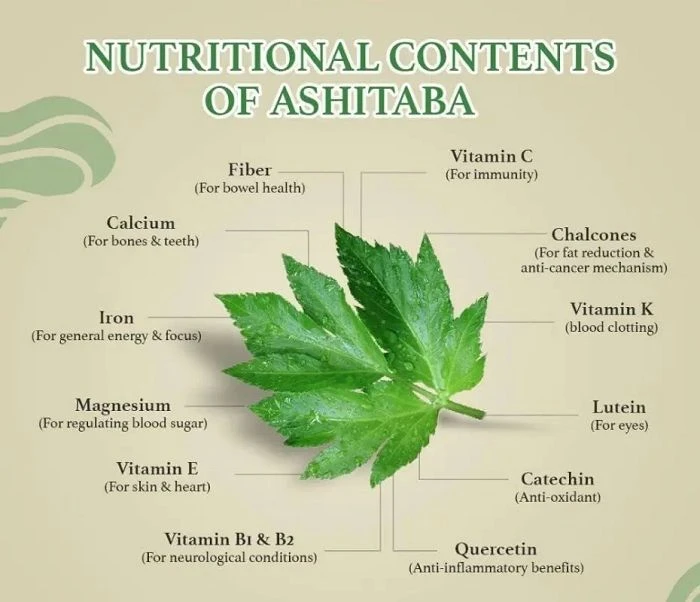 What are the benefits of Ashitaba tea with chalcones? What are the benefits of Ashitaba tea with chalcones?