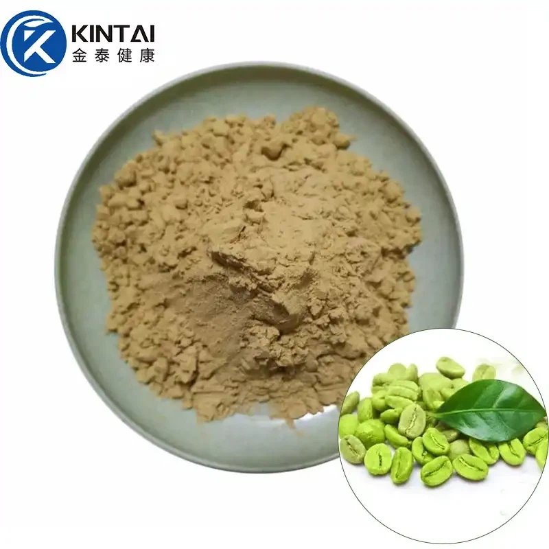 Extrakt ze zelených kávových zrn v prášku