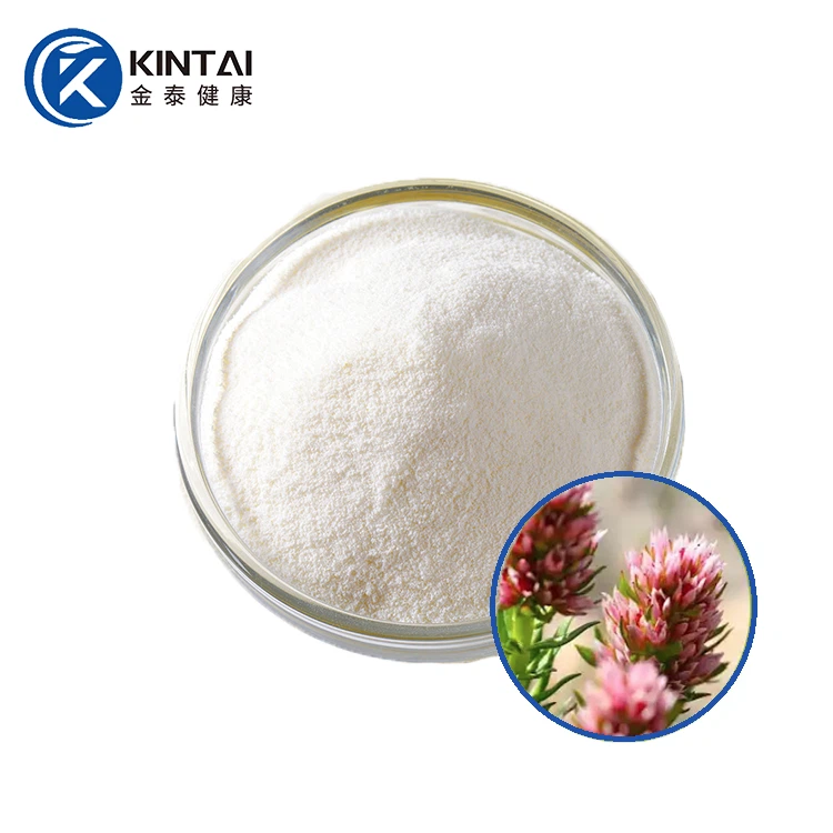 Salidroside prášek