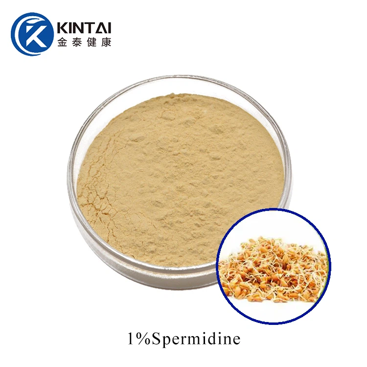 Extrakt z pšeničných klíčků prášek